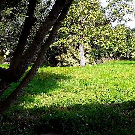 הוילה Noyal-Muzillac Domaine De La Tranquillite V מראה חיצוני תמונה